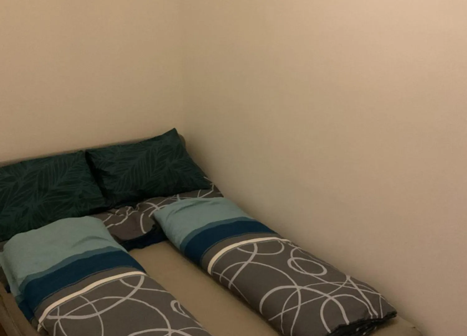 Palace Apartment 维也纳